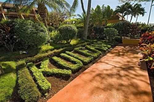 Apartamento Welcome To Your Oceanfront Island Paradise Condo