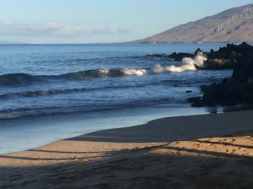 Maui Vista #3-404