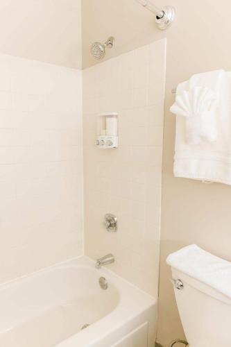 Apartamento 2br Navy Pier Loft With Pool, Gym & Views By Envitae