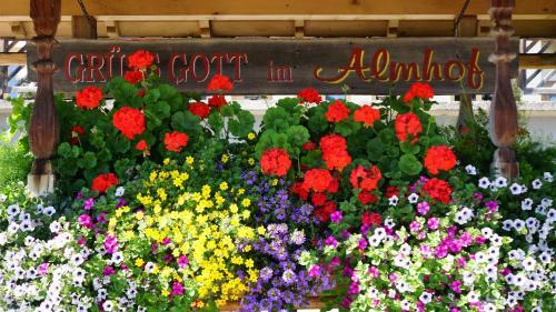 Hotel Gasthof Almhof