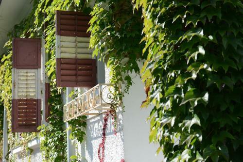 Apartamento Seeappartements Eden