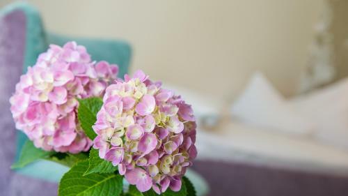 Dermuth Hotels ? Hotel Dermuth P�rtschach