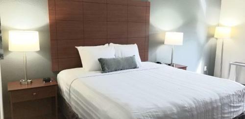 Hotel Best Western Lexington Inn