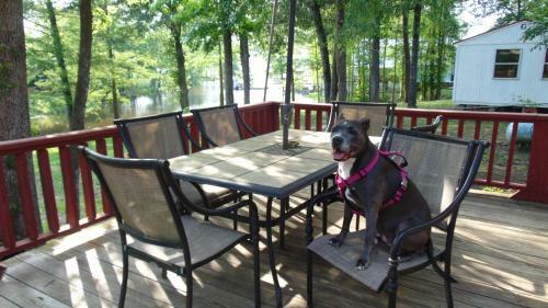 Lodge Holy Toledo Properties - Lake Escape
