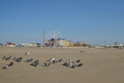Apartamento Updated Oceanfront Patio Condo At The Colonial Condo