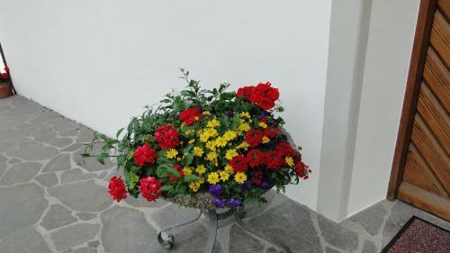 Hostal G�stehaus Winklerhof
