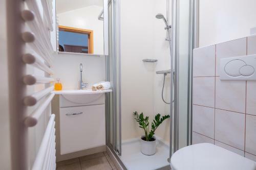 Hostal Haus Martin - Schneeberger