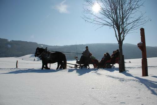 Agroturismo Bio-bauernhof Samerhof