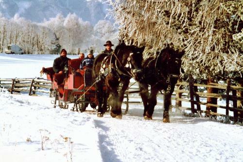 Agroturismo Bio-bauernhof Samerhof