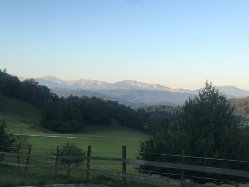 Apartamento Kollehof