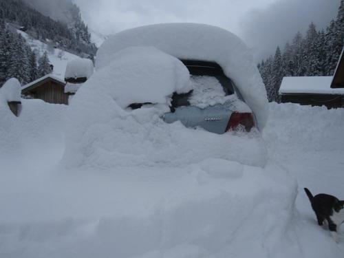 Alpenapart Walch