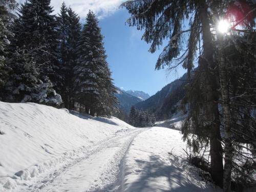 Alpenapart Walch