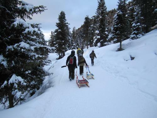 Alpenapart Walch