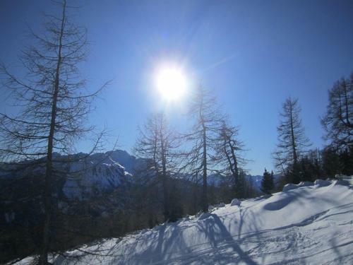 Alpenapart Walch