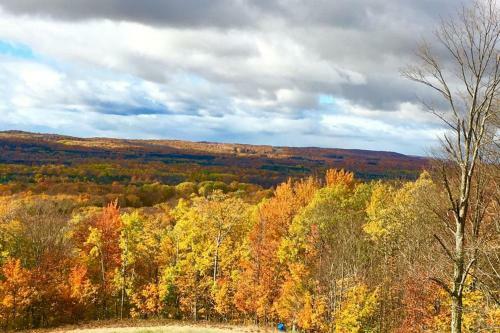 Wintergreen Condos