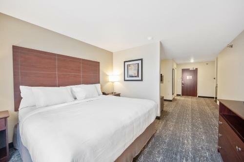 Cobblestone Hotel & Suites - Austin
