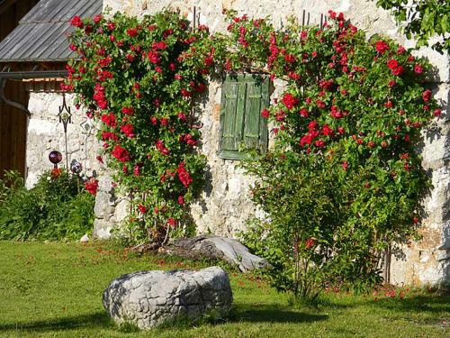 Bed & Breakfast Fr�hst�ckspension Sonnenhof