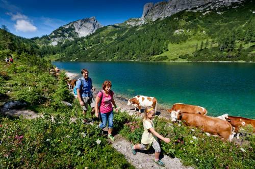 Bed & Breakfast Fr�hst�ckspension Sonnenhof