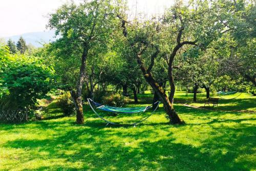 Schlank Schlemmer Hotel K�rschner