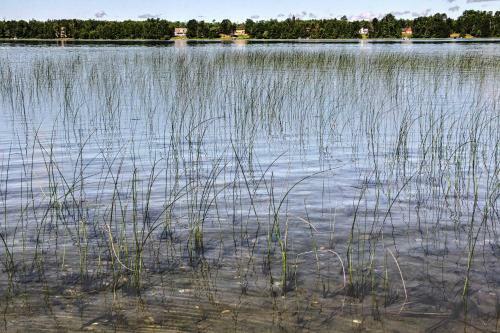 Apartamento Lakefront Deer River Apt With Dock, Fire Pit And Patio!