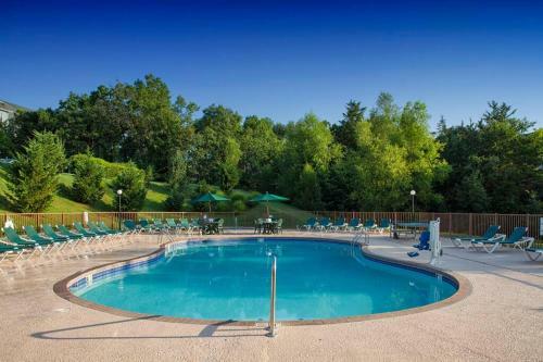 Palace View Apartment Near 76 Strip 1br Standard