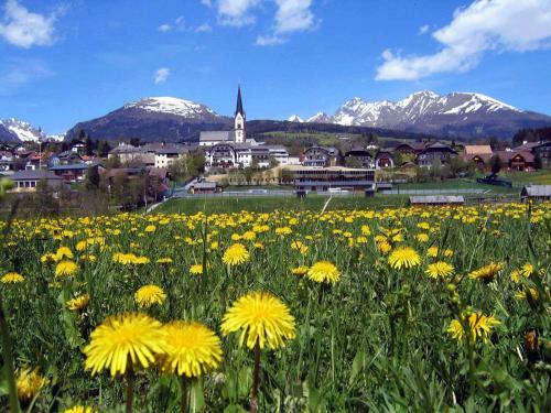 Hostal Appartements/privatzimmer Fritz-rosenkranz