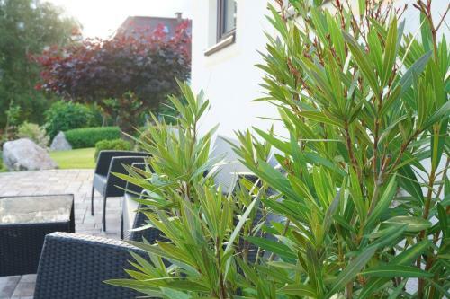 Hostal Appartements/privatzimmer Fritz-rosenkranz