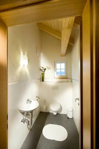 Alpenchalet Mitterberg