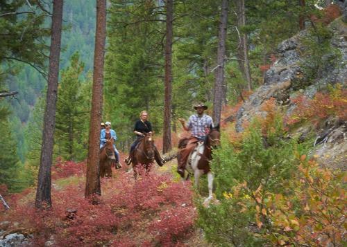 Bear Creek Lodge Ii, Llc