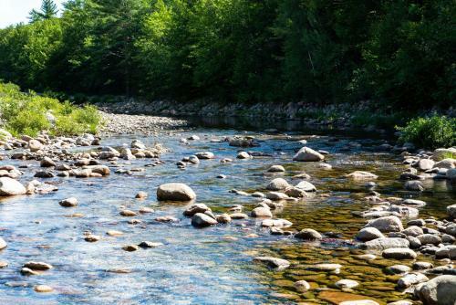 Apartamento 3 Day Buffer! River Access, Near Conway Village And Theme Park Condo