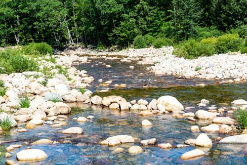 Apartamento 3 Day Buffer! River Access, Near Conway Village And Theme Park Condo