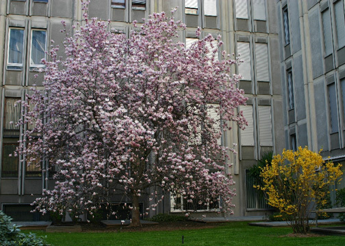 Best Western Atlantic Hotel