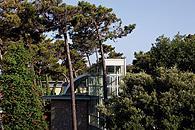 Hotel Green Park Resort