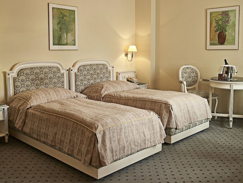 Hotel Ambassador-zlat� Husa