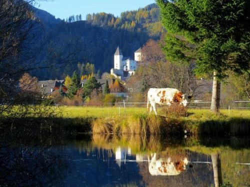 Apartamento Ferienwohnung Und Zimmer Kassar Bikertipp