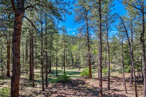 Tschirtart Cabin - 4 Bed 2 Bath Vacation Home In Angel Fire