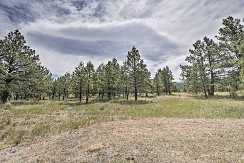 Spacious Angel Fire Getaway, 2 Mi To Slopes!