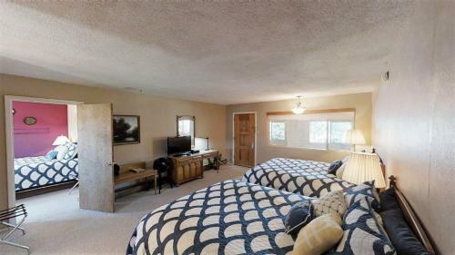 Suite 43