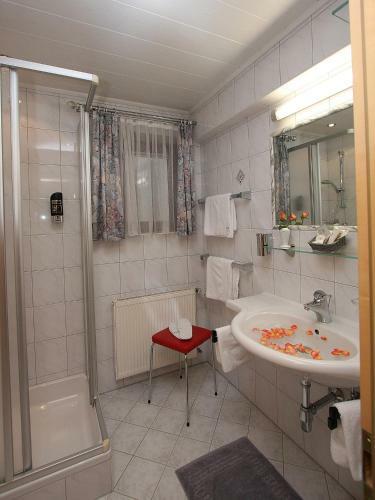 Alphotel Garni Salner