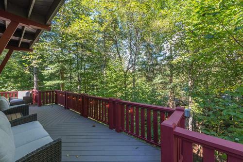 Owl's Nest