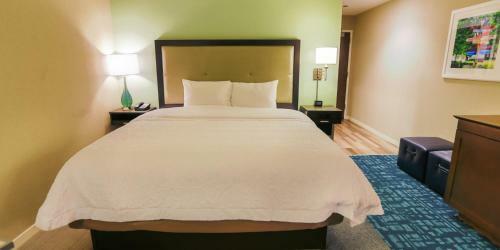 Hotel Hampton Inn & Suites Charlotte/ballantyne, Nc