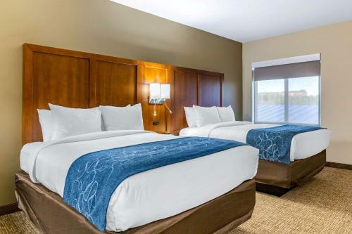 Hotel Comfort Suites Greensboro Airport