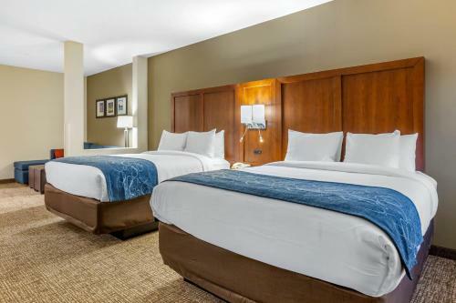 Hotel Comfort Suites Greensboro Airport