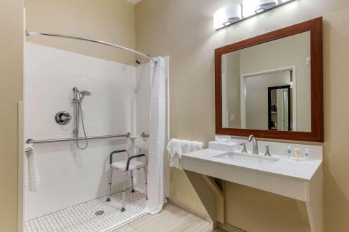 Hotel Comfort Suites Greensboro Airport
