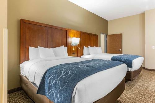 Hotel Comfort Suites Greensboro Airport