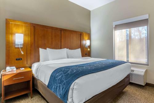 Hotel Comfort Suites Greensboro Airport