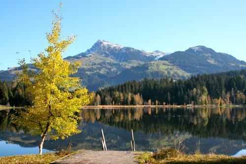 Apartamento Appartement Lisa Schweiger