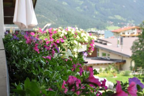 Apartamento Appartementhaus Lechner