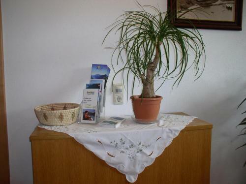 Apartamento Haus Waldfriede