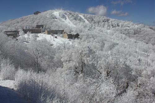 Apartamento Sugar Ski 11-202